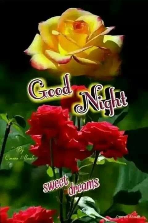 good night cute images