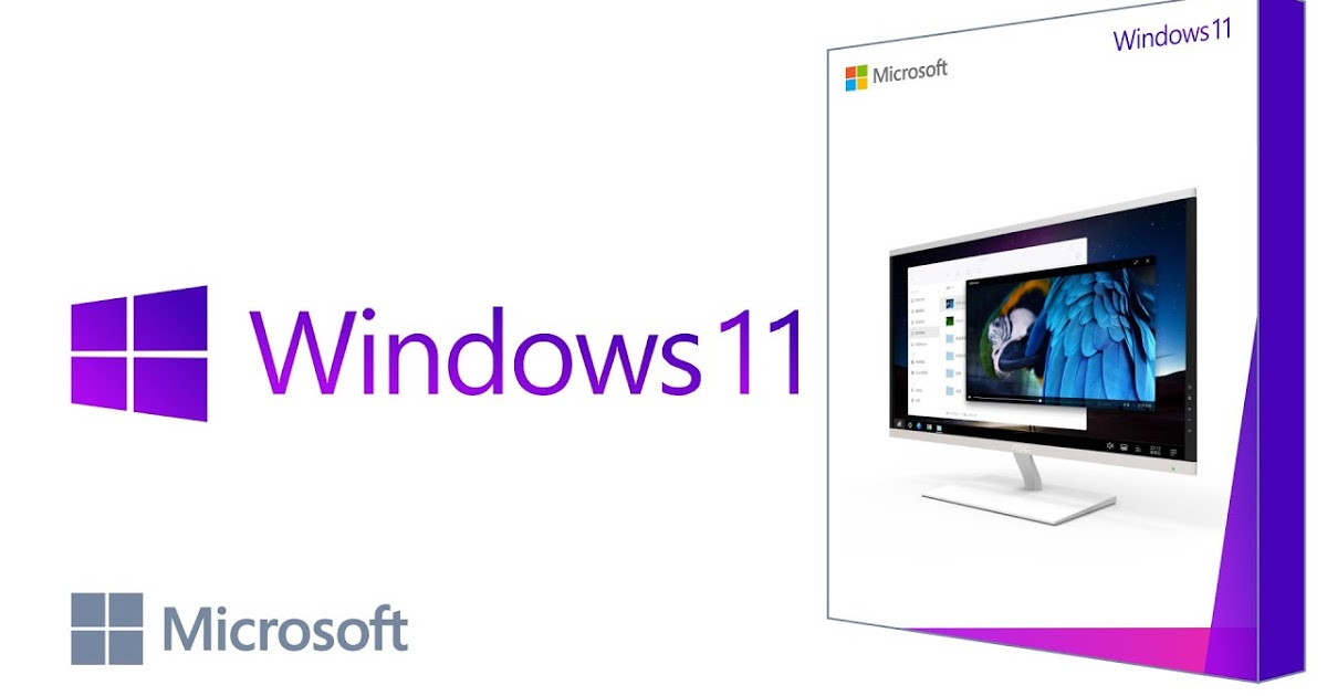 free download window 11 iso