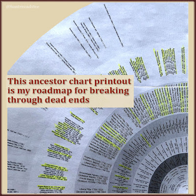 My ancestor fan chart, with all the treetops highlighted, becomes a road map for my family tree research.