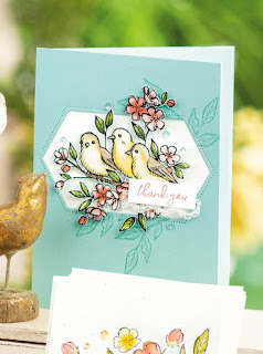 17 Stampin' Up! Bird Ballad Projects ~ 2019-2020 Annual Catalog 