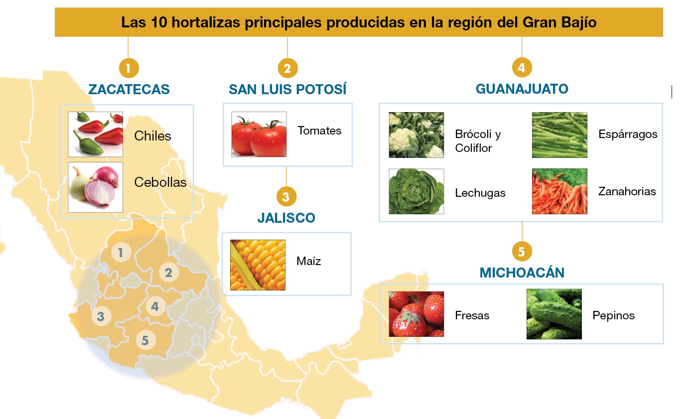 Principales cultivos del Bajio