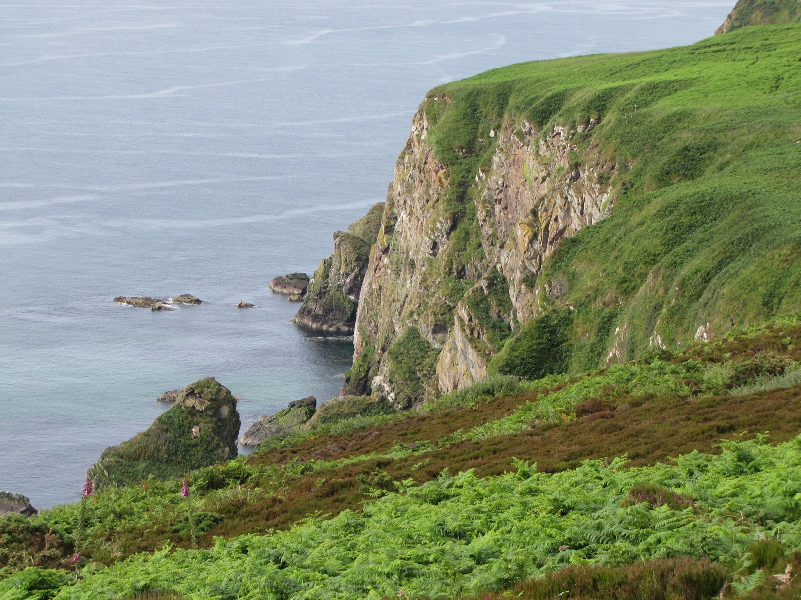 Grey Hen's Well What's Down the Well Comes Up in the Bucket Old Adage