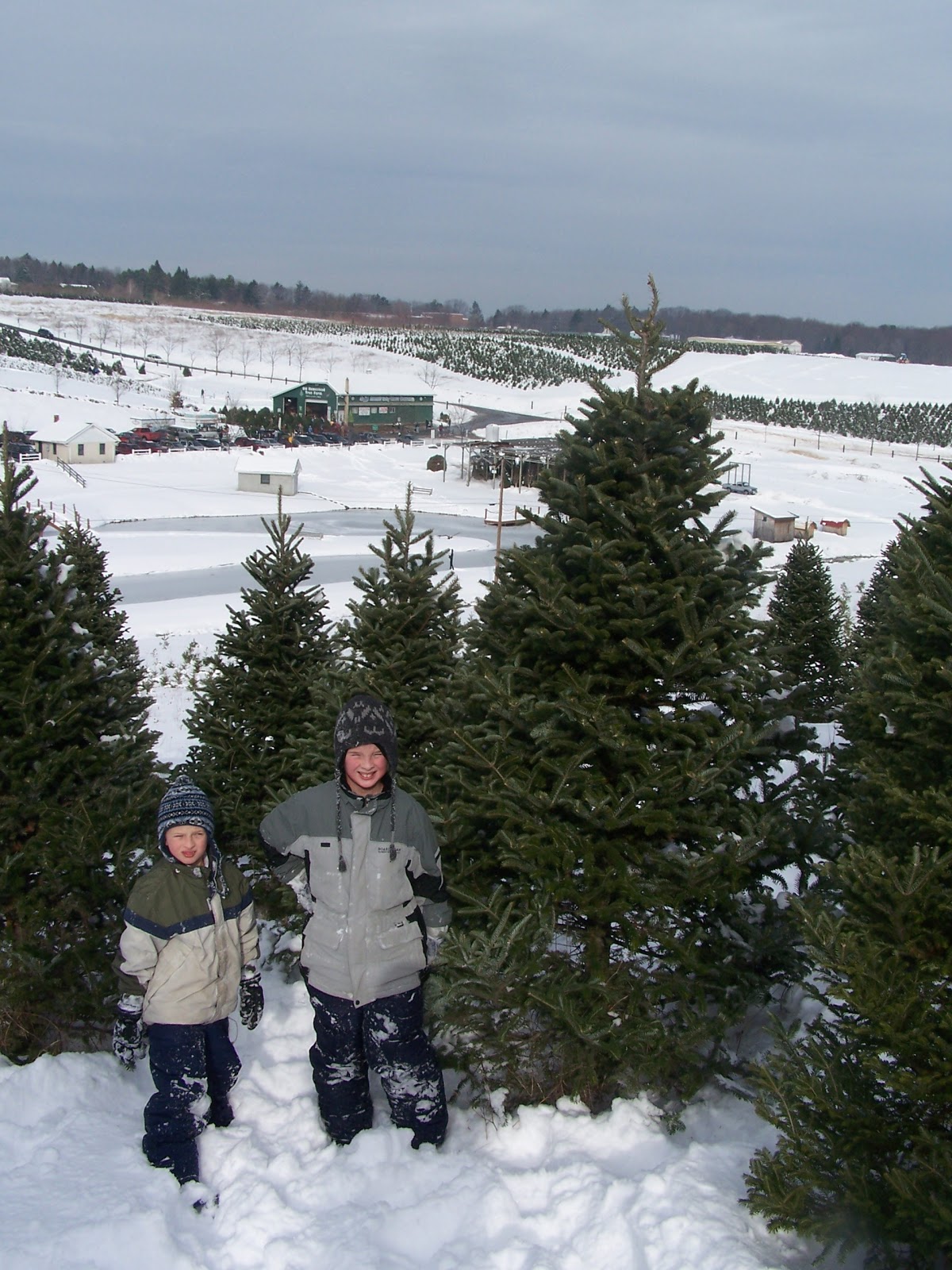Arrowhead Lake Mountain House Deck the Halls...Christmas Trees in the