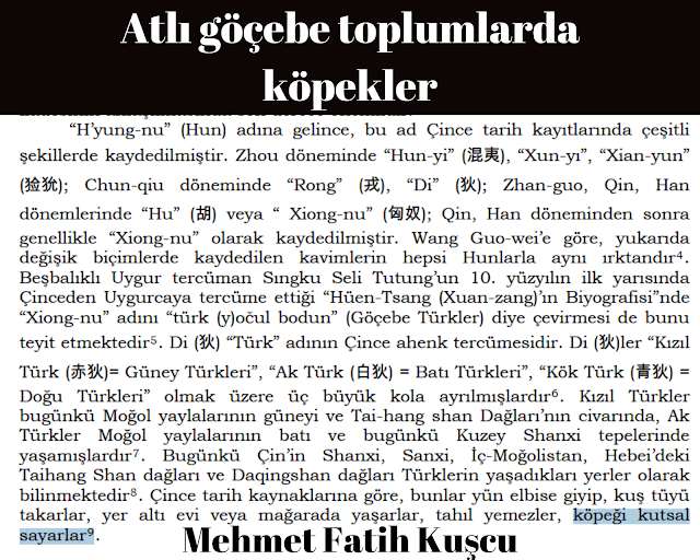 Çin kedisi. Çin. Qing Hanedanlığı (16441911)