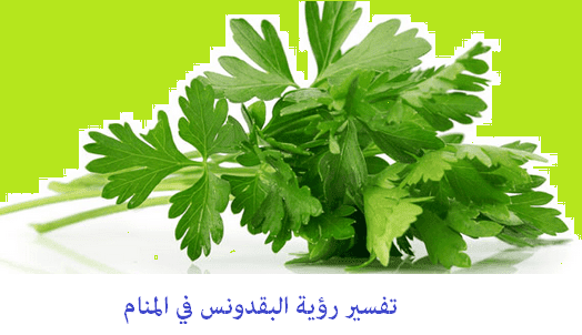 تفسير رؤية البقدونس في المنام للعزباء والحامل