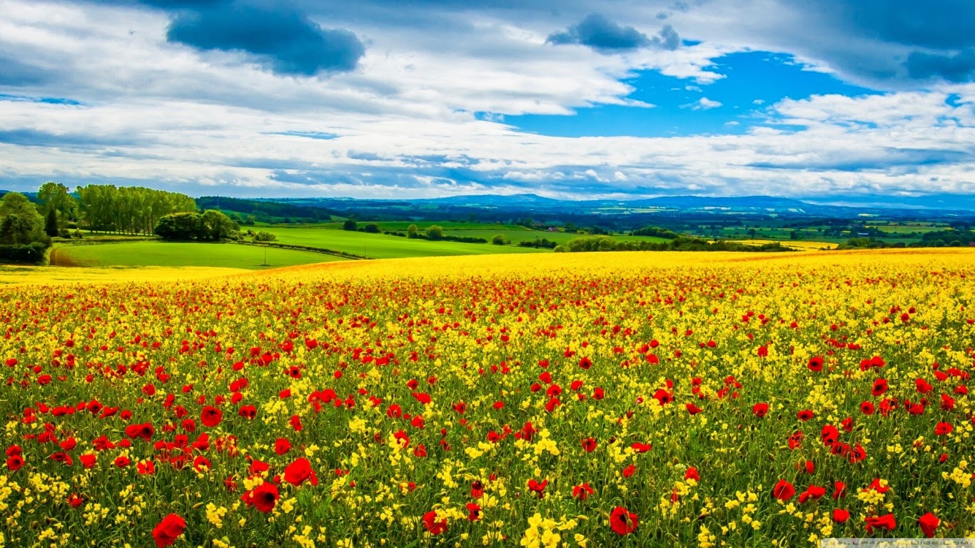 fond d'ecran gratuit hd printemps