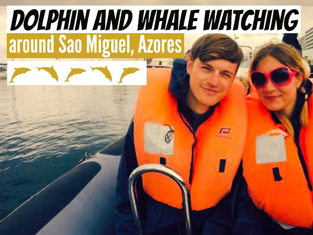azores whale watching season