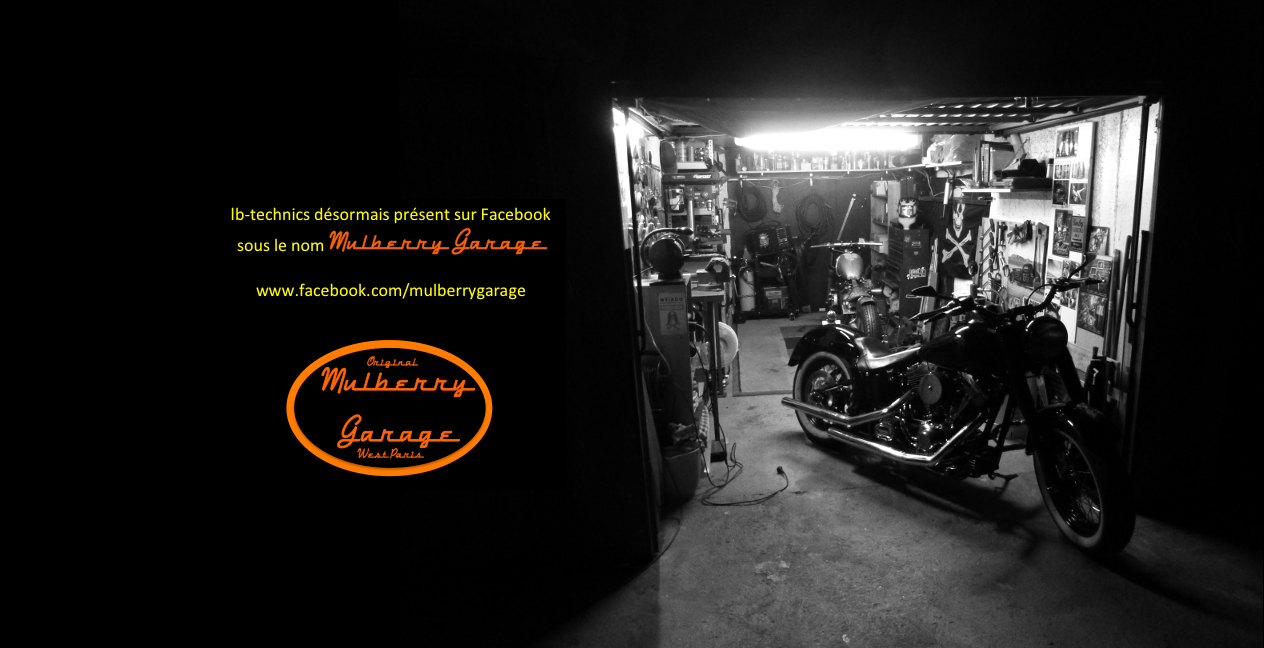 Demontage alternateur fz1