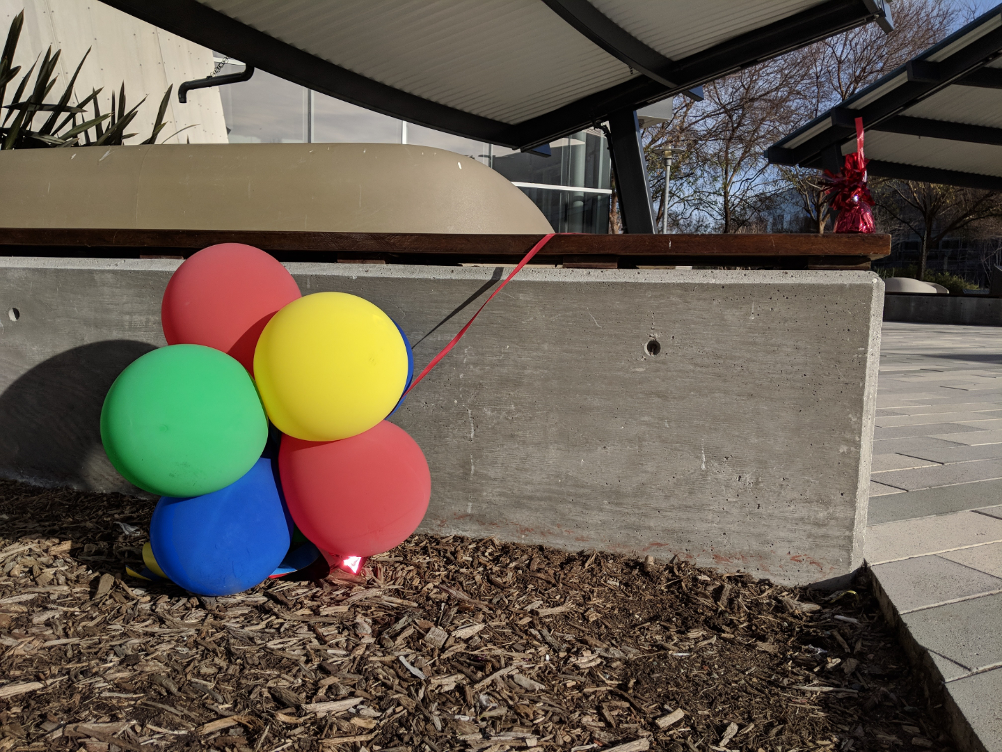 large round balloons outside on floor in front of a concrete wall