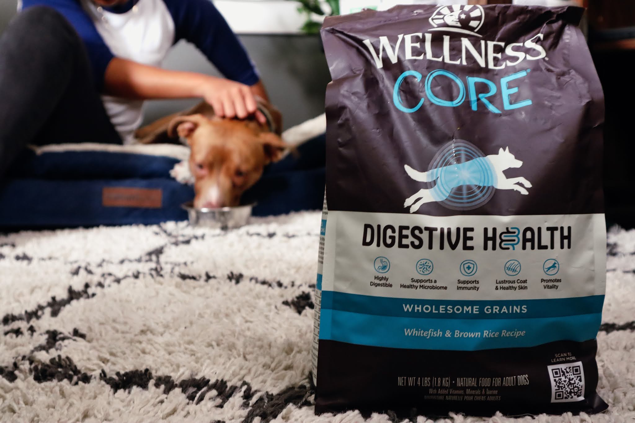 Best Dog Food For Digestive Health Being