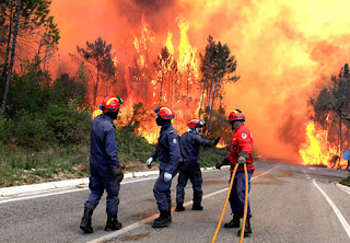 More than 3,000 firemen struggled to put out forest fires across Portugal