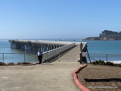 pier at William Randolph Hearst Memorial Beach in Hearst San Simeon State Park in San Simeon, California