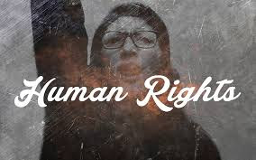 human-rights-essay-in-hindi