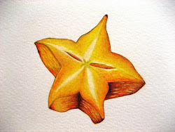 starfruit drawing september way