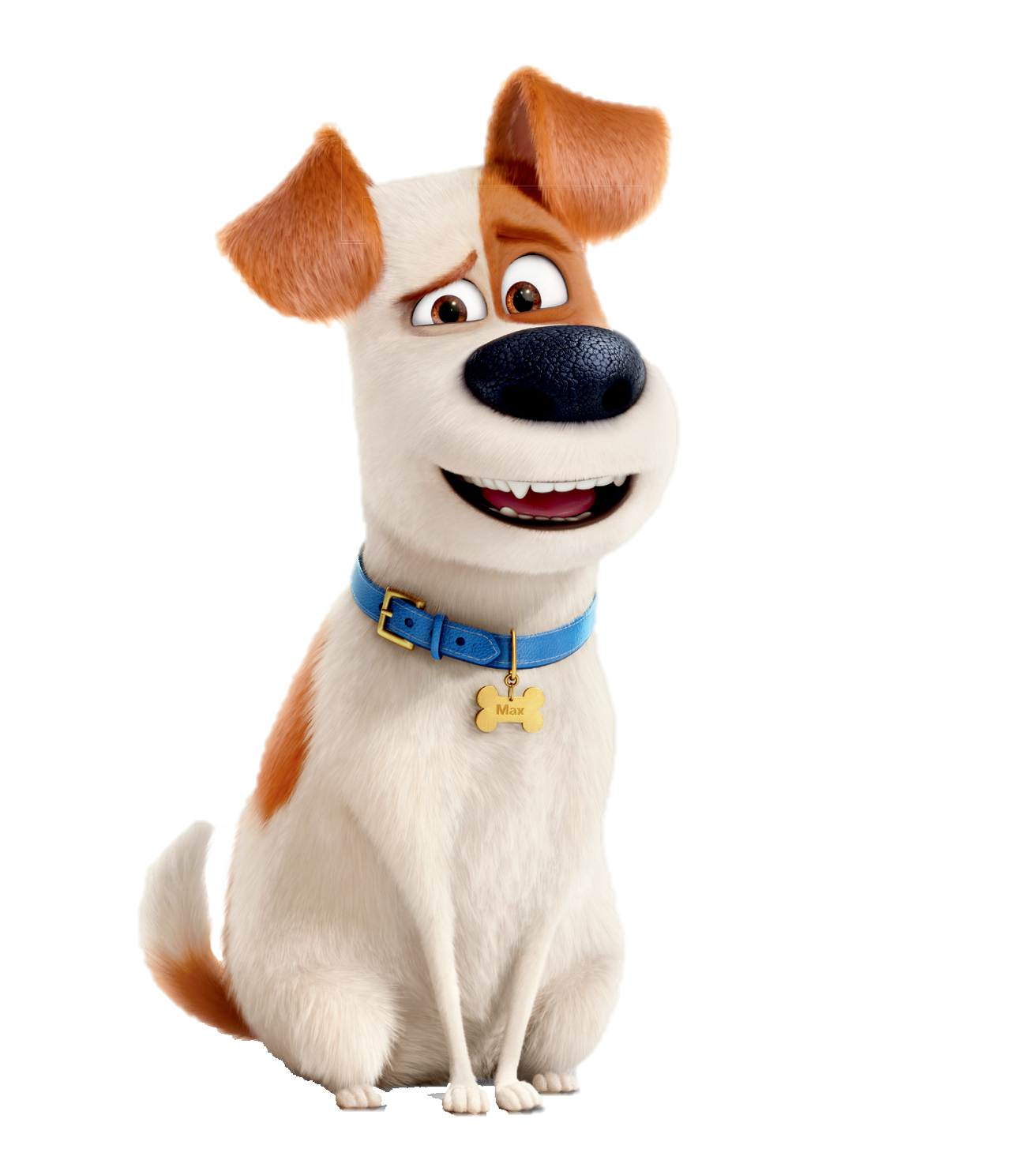 Em Geral 90+ Imagen De Fondo Etiquetas Escolares De La Vida Secreta De