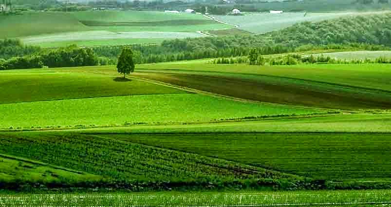 SEJARAH POPULER: Kehidupan di daerah dataran yang luas