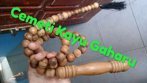 √ [71] Khasiat Cemeti Atau Cambuk Gaharu Bertuah