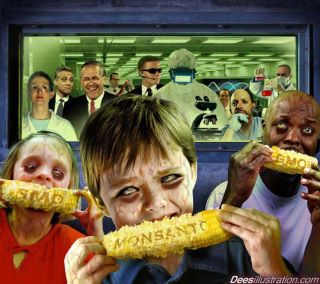 GMO fast fooding