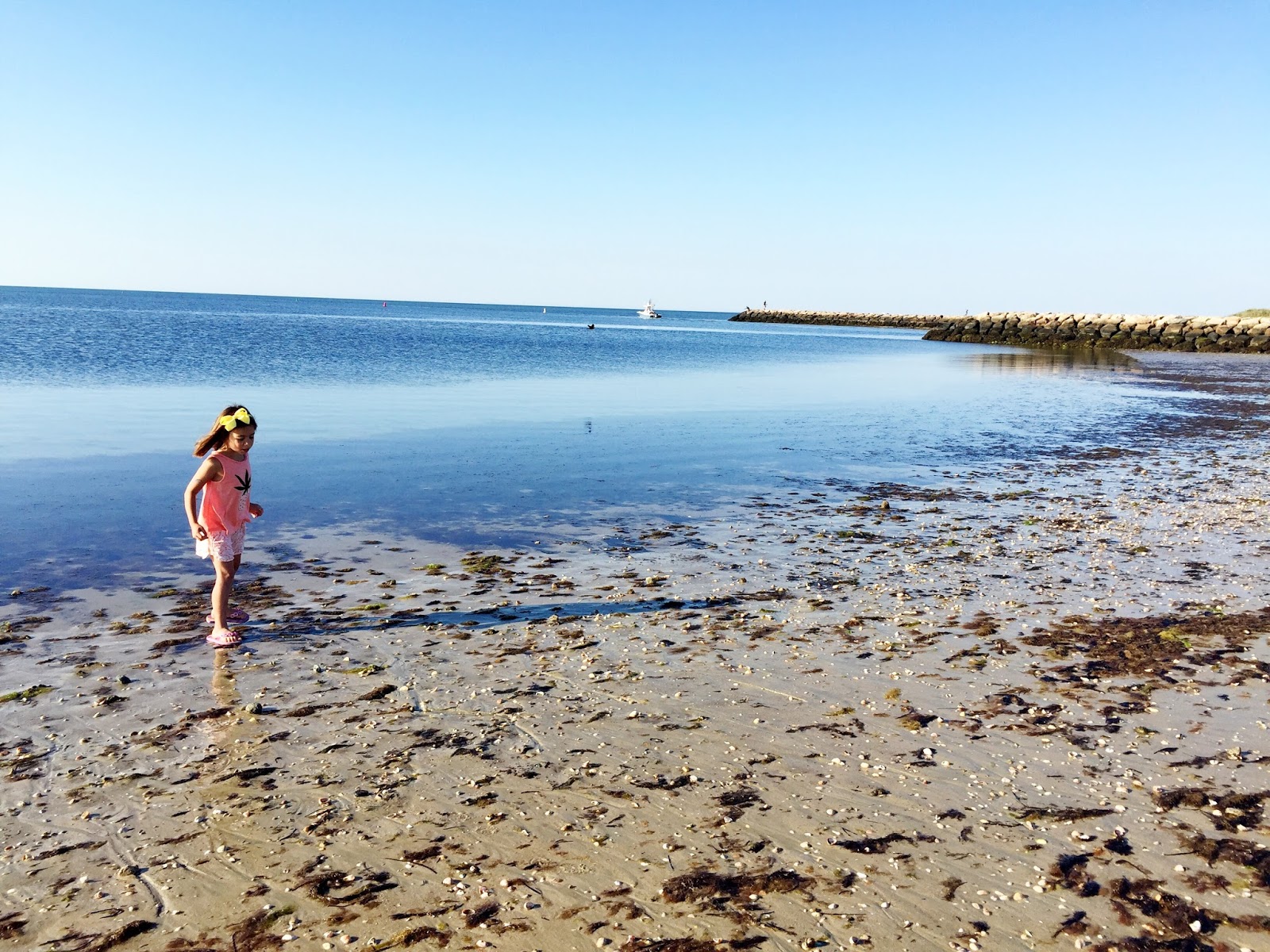 Cape Cod with Kids 10 Reasons to Visit Cape Cod