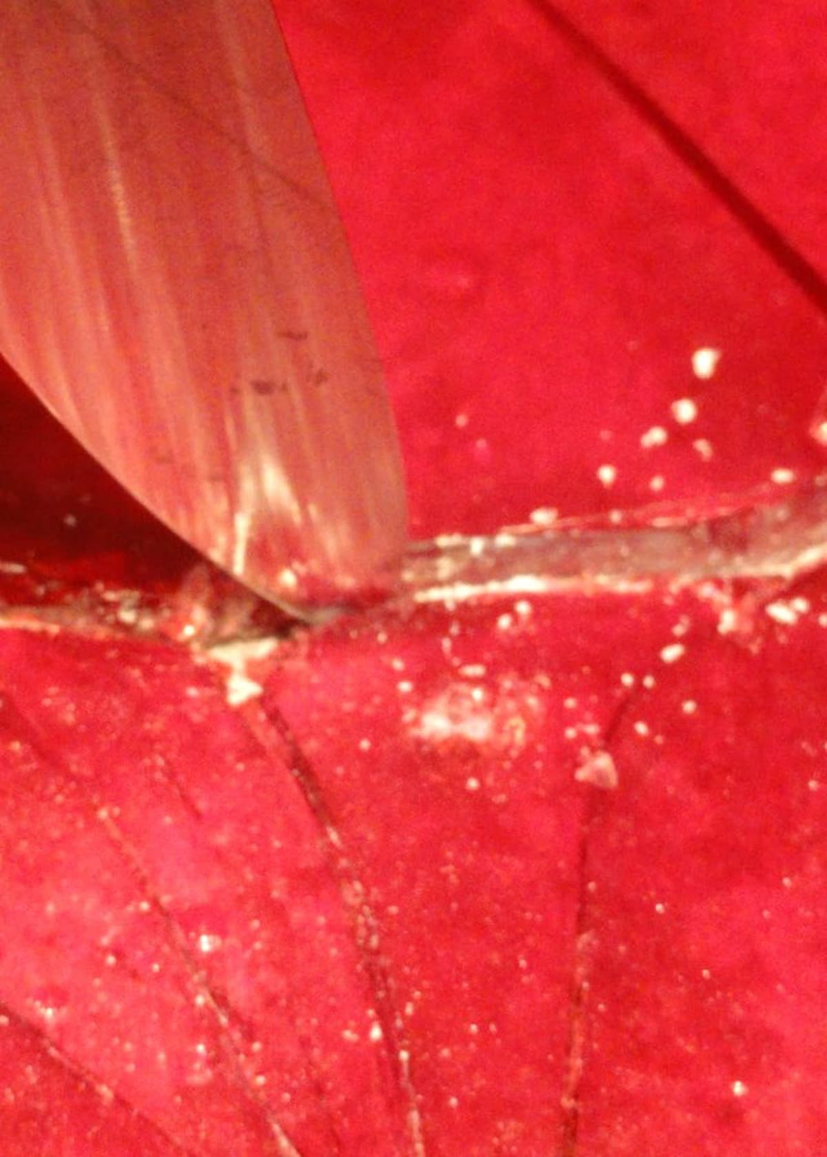 Cinnamon Rock Candy Serena Bakes Simply From Scratch