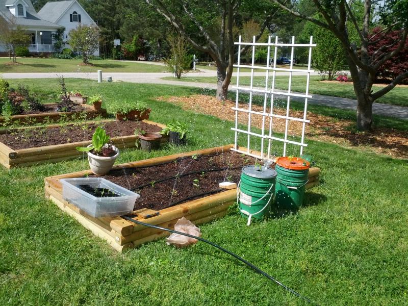 Delete the Nuts Drip irrigation experiment.