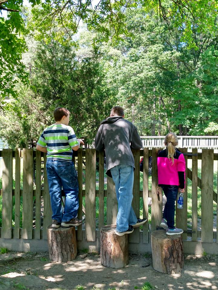 Missy Made It! Homeschool Meadow Farm At Crump Park.
