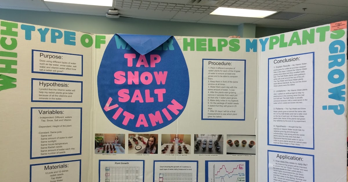 Mrs. Petriw Science Fair Backboards