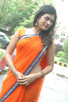 Shraddha Das Spicy Photo shoot in Orange Saree stills