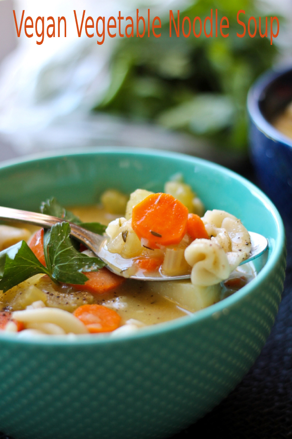 Vegan Vegetable Noodle Soup - happy cook