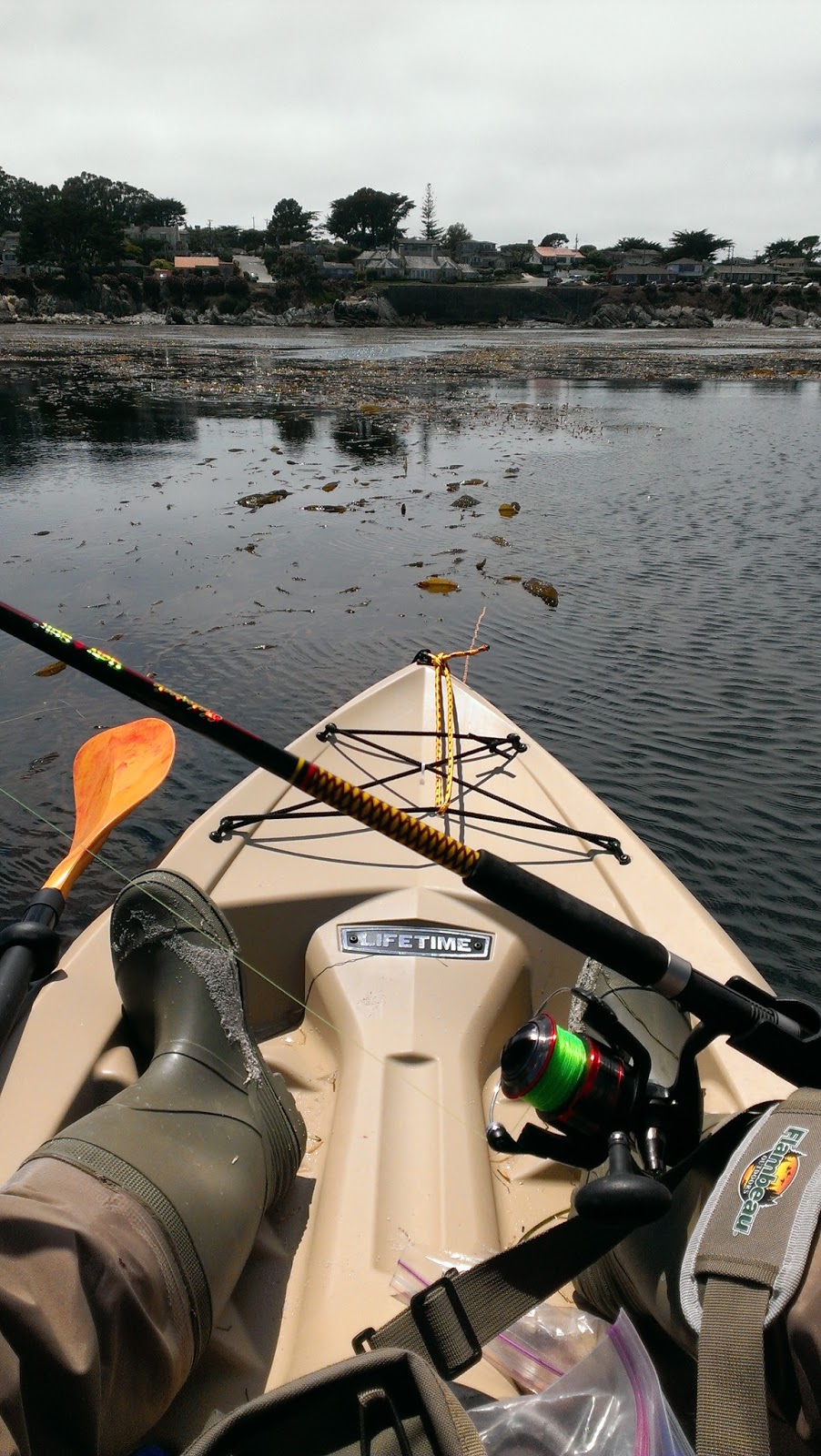Fishing, Bait and Tackle Kayaks, Kelp and Cod California Rockfish and