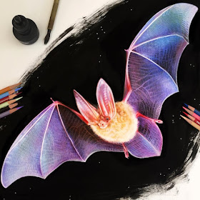 08-Bat-Morgan-Davidson-Eclectic-Collection-of-Realistic-Drawings-www-designstack-co