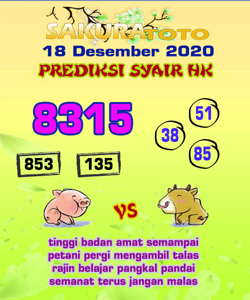 49 Syair sakura group
