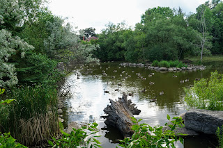 Pond in Willowfield Gardens, Toronto