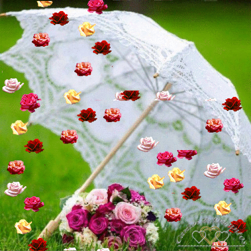 Gifs, Mensagens e Imagens Gifs de Rosas