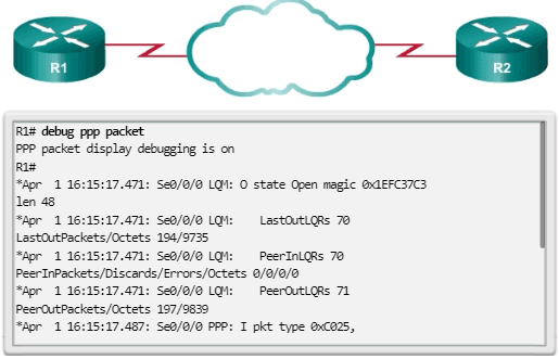 How much ppp can i get picture