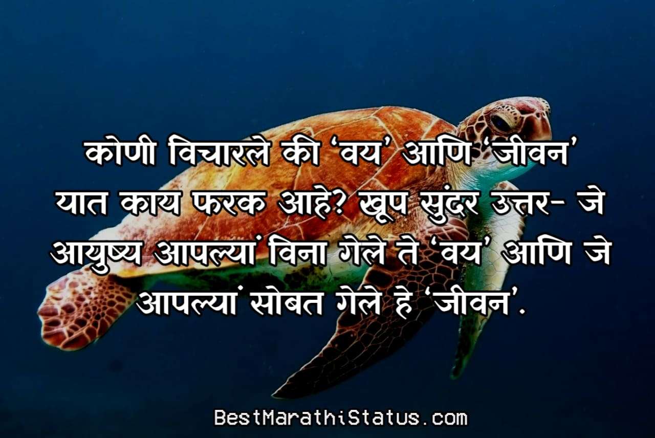 Marathi-Status-Whatsapp-Instagram-Facebook