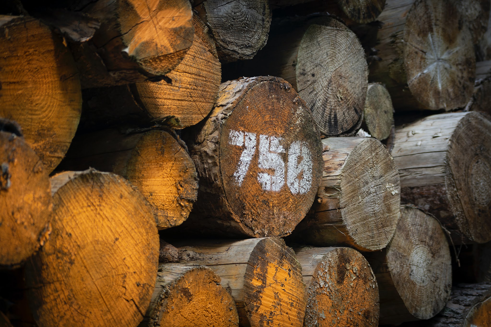 The three most commonly used types of natural wood the CEngineer PEDIA