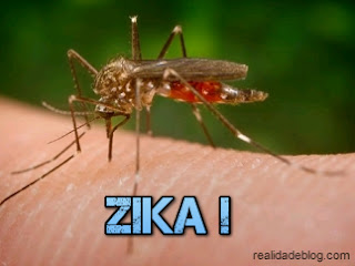 virus zika