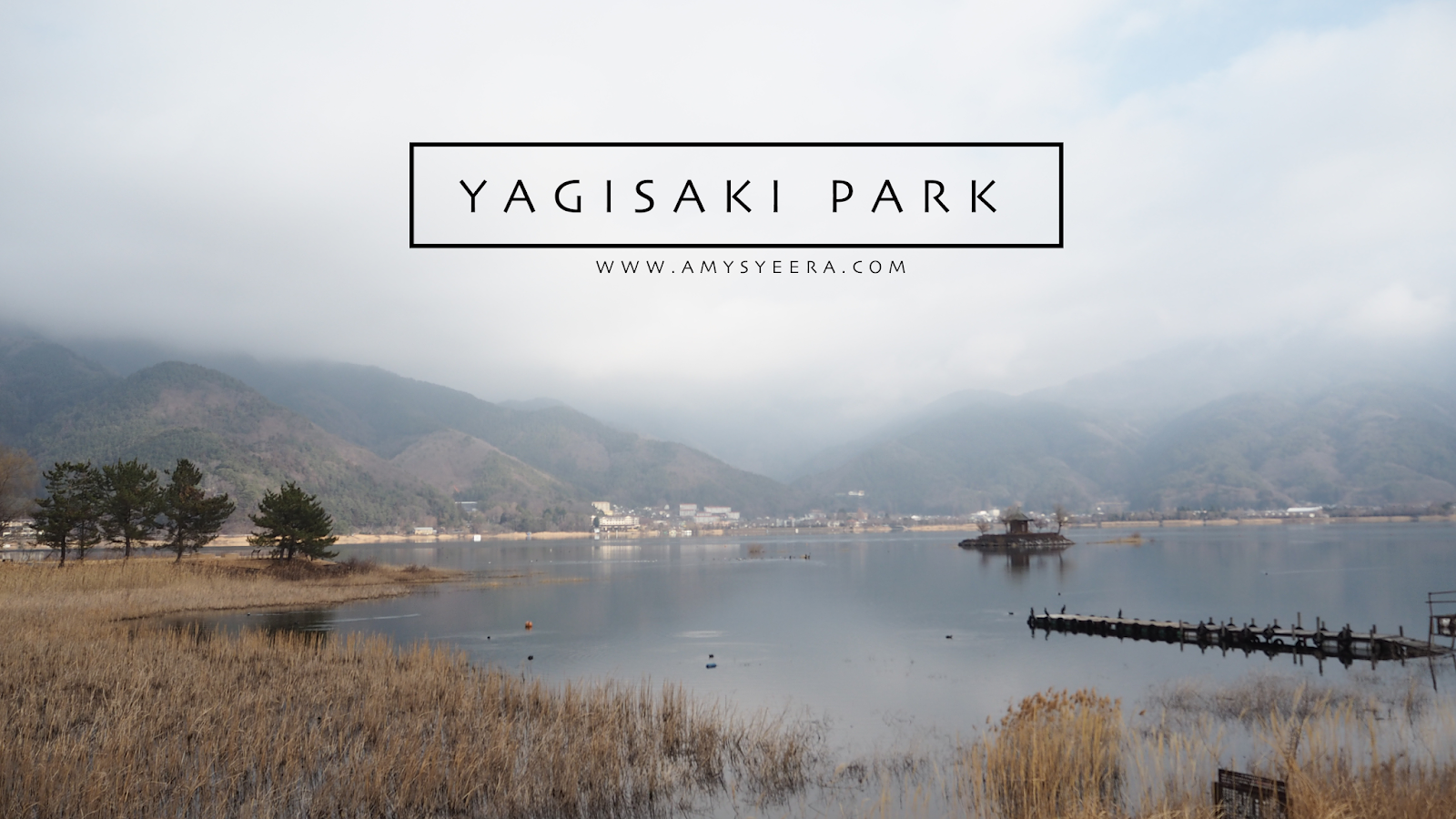 yagisaki park amysyeera