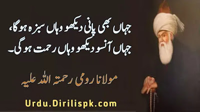 Rumi Quotes in Urdu Rumi Quotes in Urdu