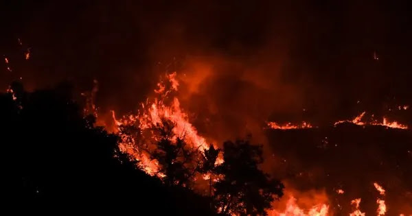 Δήμαρχος Κρυονερίου για μήνυμα από το «112»: «Μακάρι να ξυπνήσαμε άδικα τον κόσμο» Δήμαρχος Κρυονερίου για μήνυμα από το «112»: «Μακάρι να ξυπνήσαμε άδικα τον κόσμο»