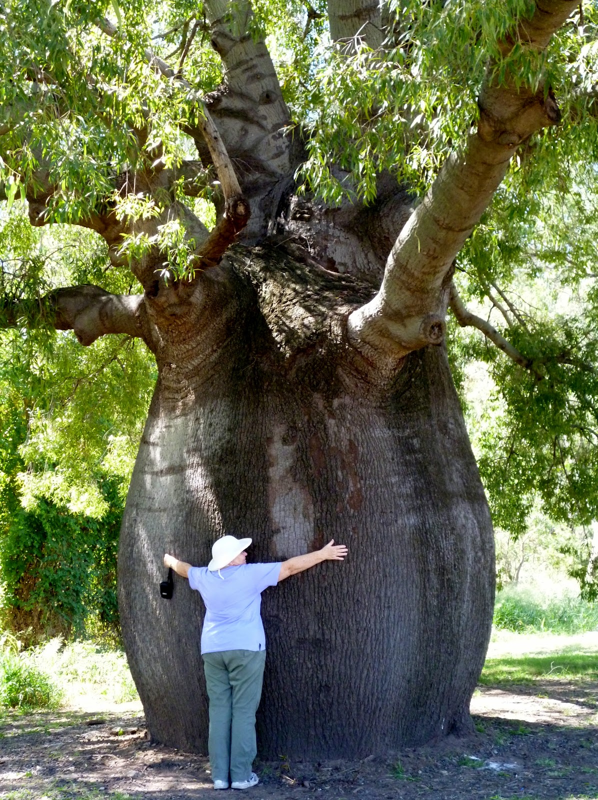 Val and Chris on tour Roamin' in Roma