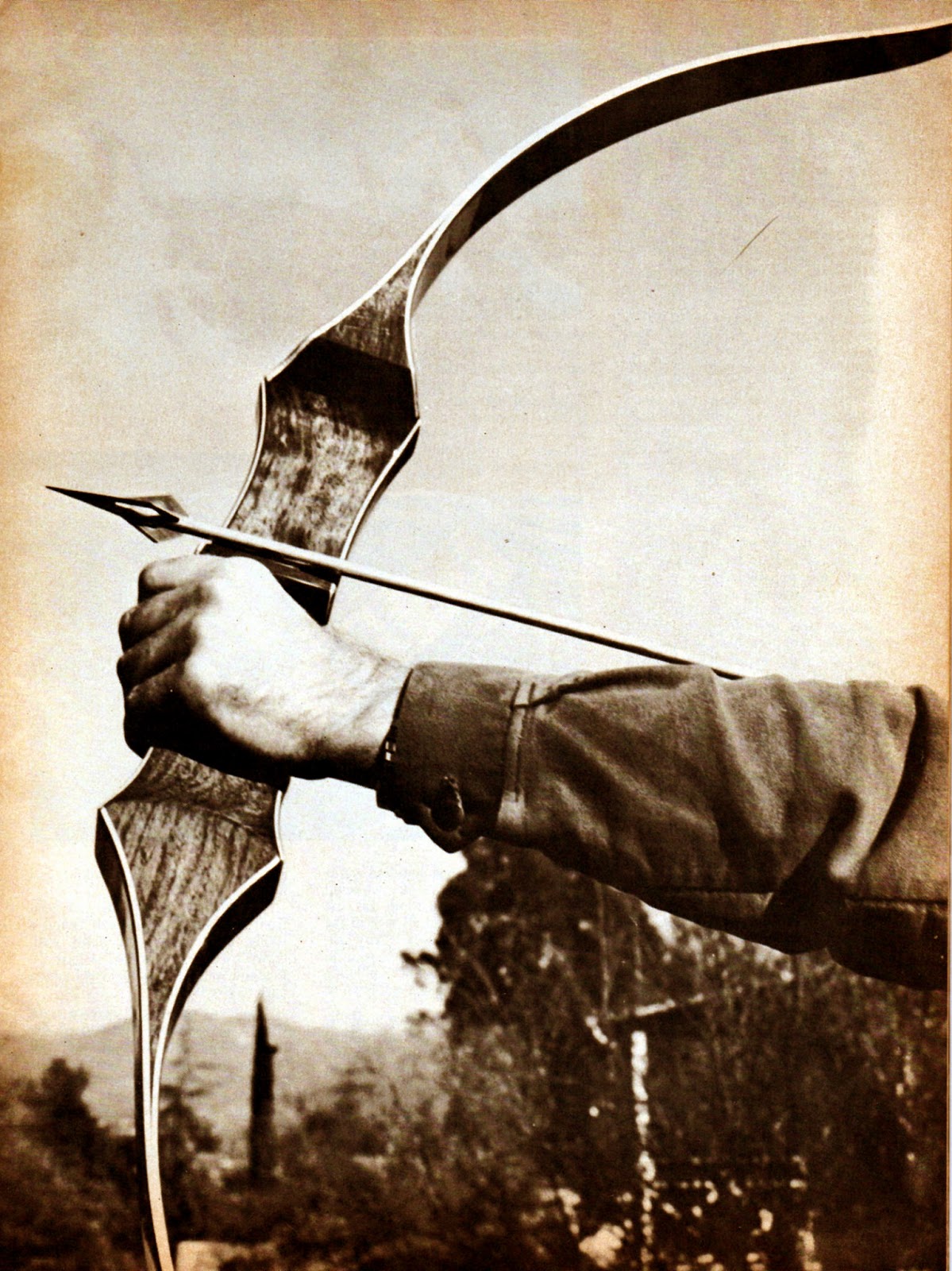 VINTAGE SHAKESPEARE / ROOT ARCHERY February 2015