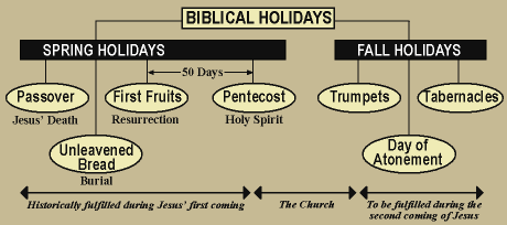 the five twelve blog: Appreciating our Atonement: Yom Kippur Made ...