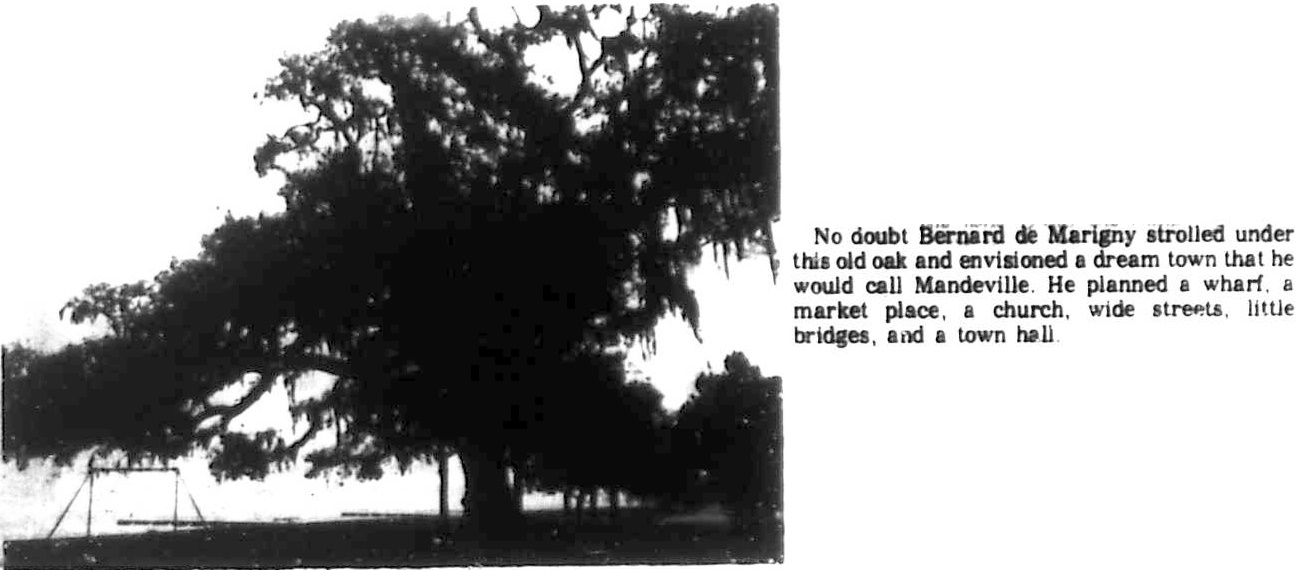 Tammany Family Bernard De Marigny The Man Who Was Mandeville