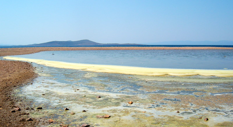 oguz topoglu tavsan adasi ayvalik