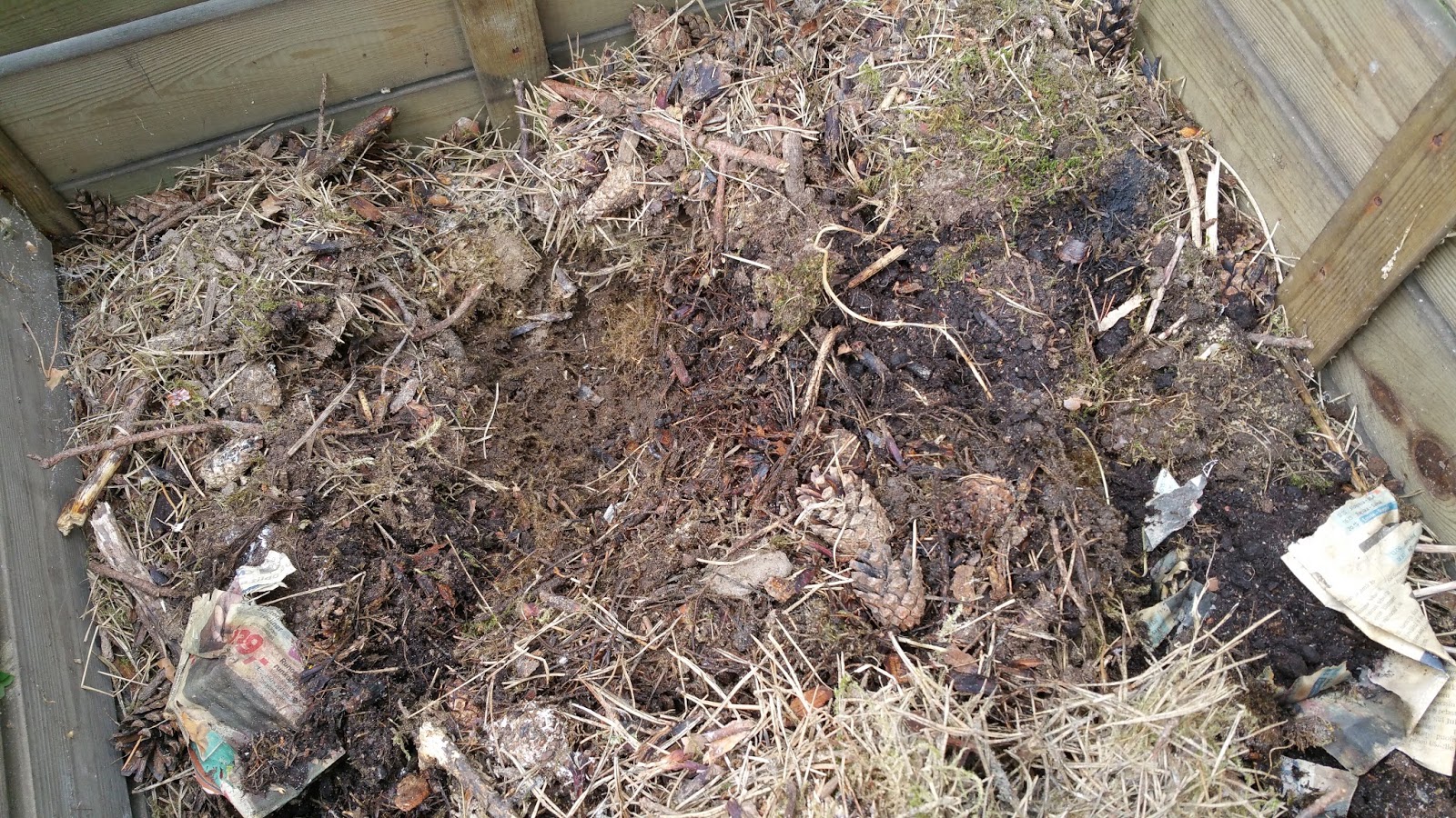 Kuume Kissalla Oireet at Steven Hudson blog