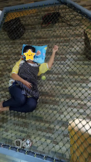 รับแรงดึง และยืดหยุ่นในการรับน้ำหนัก