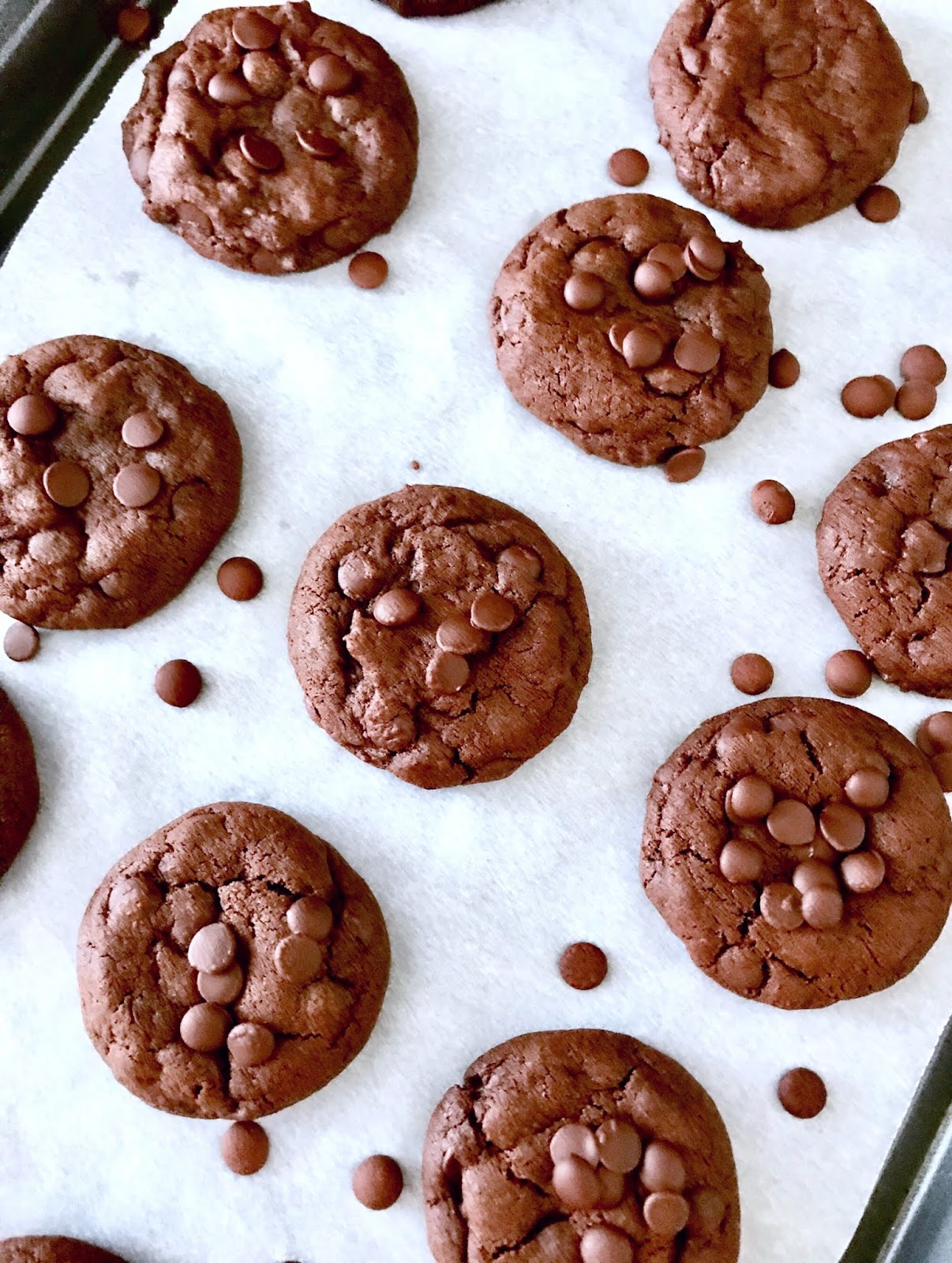 Choc Coffee Cookies