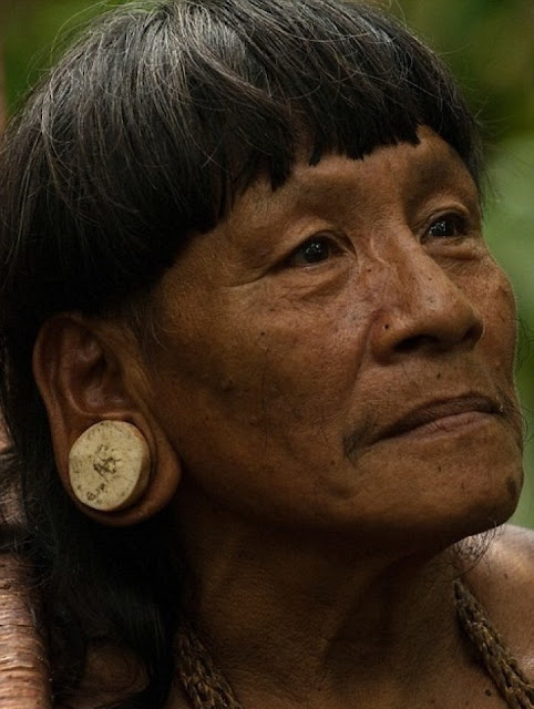 Fotógrafo Pasó 12 Días Con Los Salvajes Del Amazonas Capturó 10 Fotos Muy Impactantes El